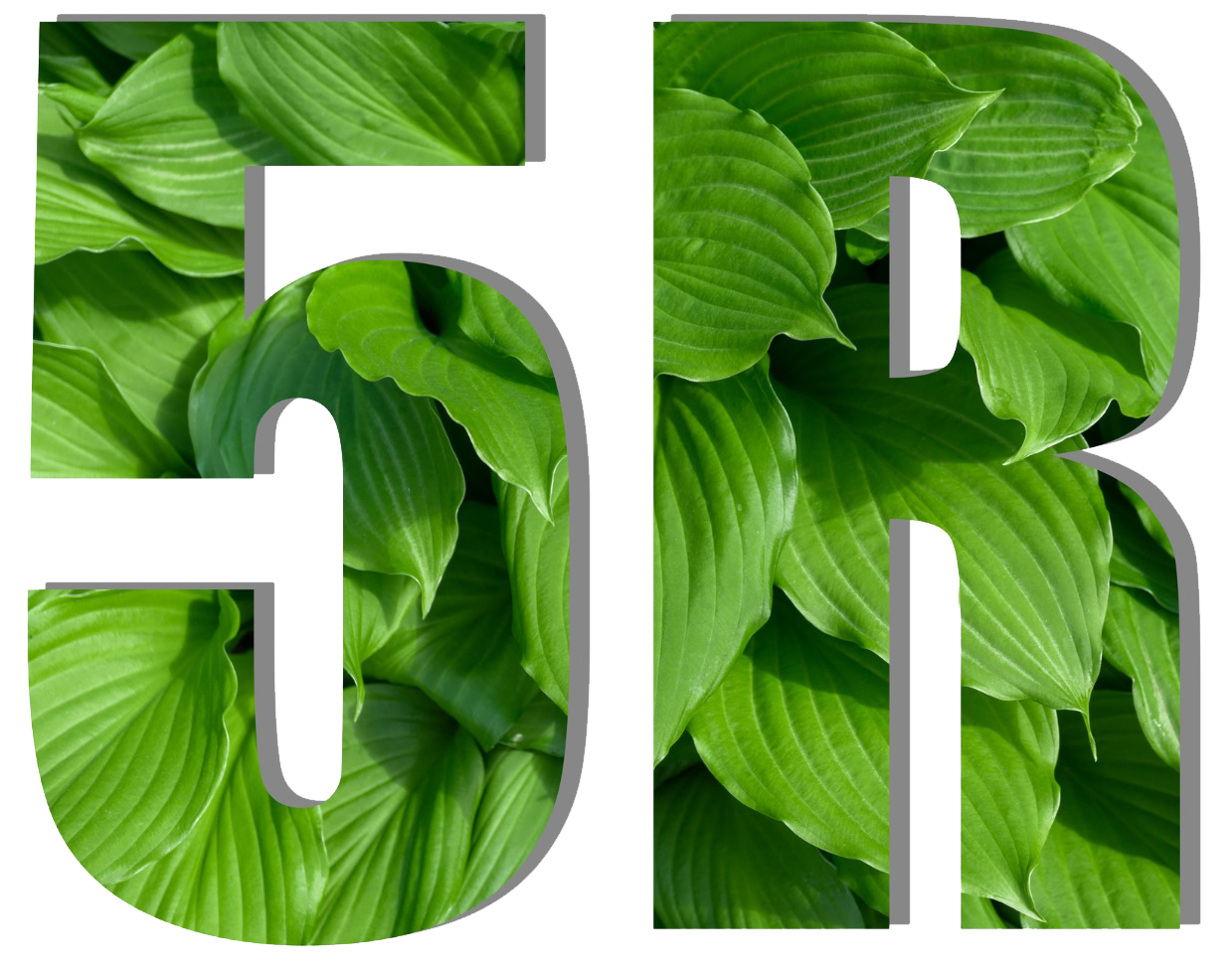 5R Green Concept